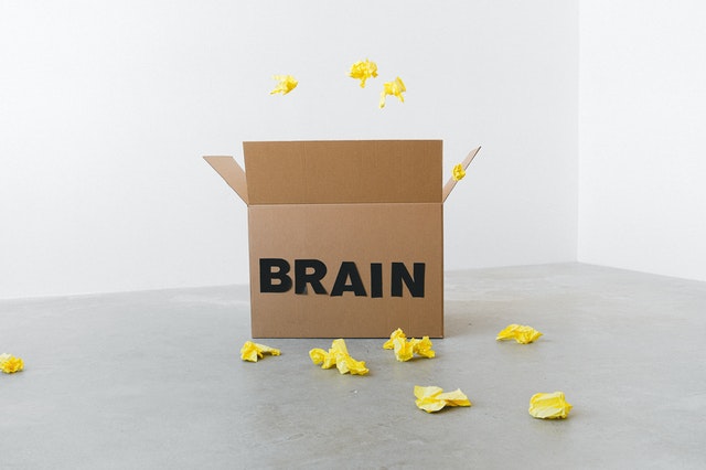 Empty box with brain written on it depicting how we gather rubbish in our minds. Most cognitive biases like "Confirmation Bias" affects our thinking negatively.